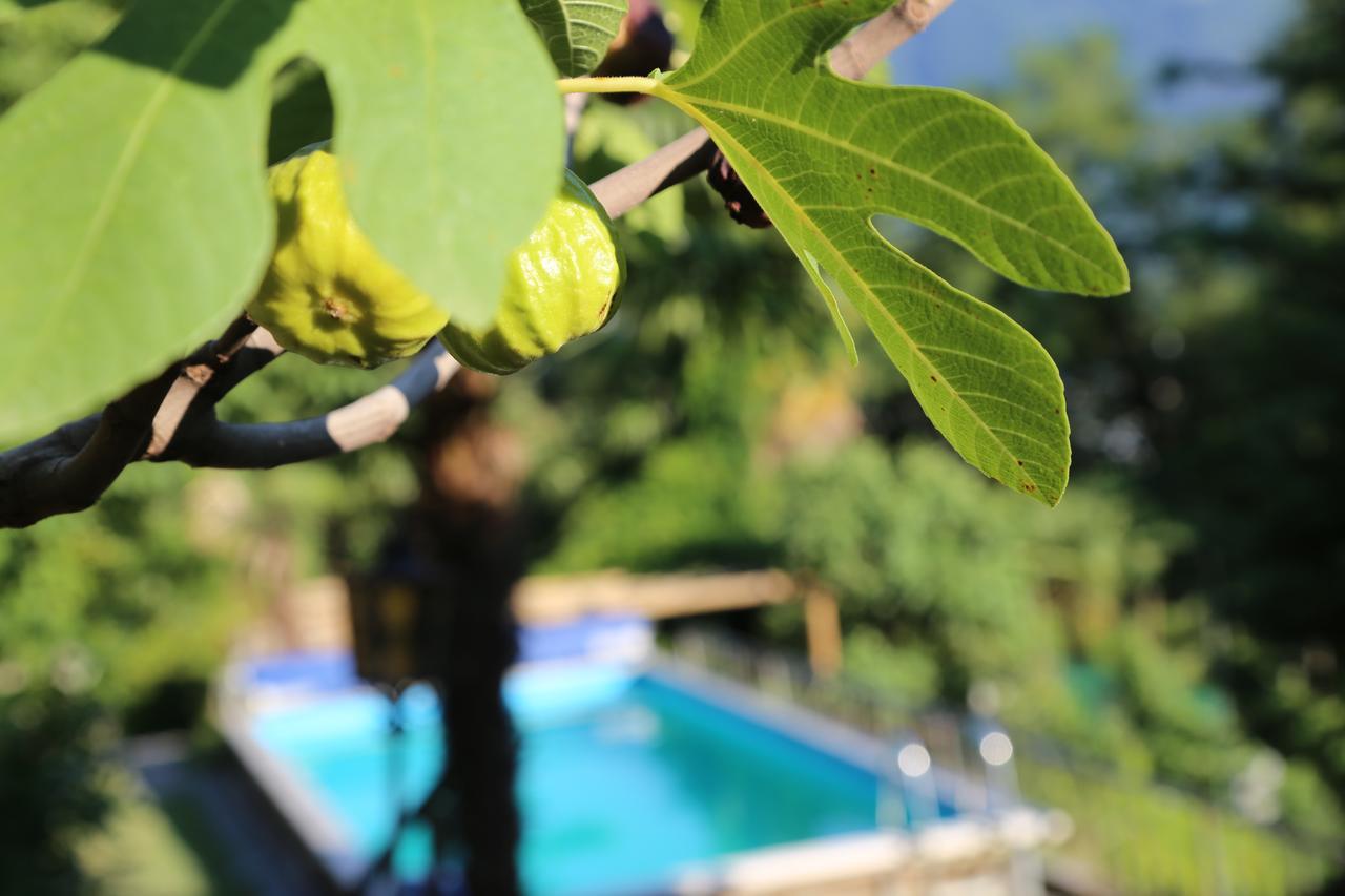 Casa Scerina Apartman Sementina Kültér fotó